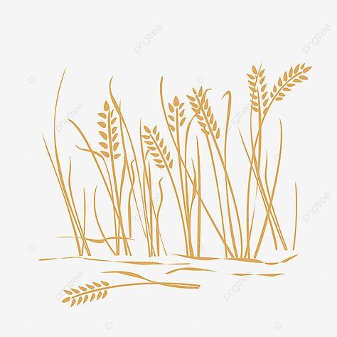 Rice Png, Sunrise Background, Paddy Field, Graphic Shapes Design, Rice Field, Bio Art, Rice Grain, Art Png, Window Painting