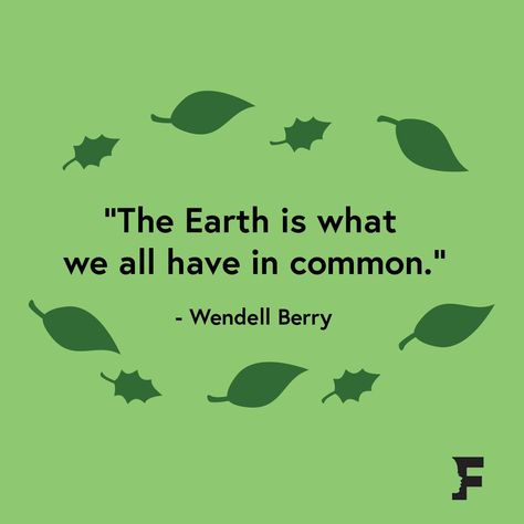 Ecofriendly Quotes, Earth Day Slogans, Gentle Living, Friendly Quotes, Sustainability Quotes, Environmental Activism, Earth Quotes, Wendell Berry, Regenerative Agriculture