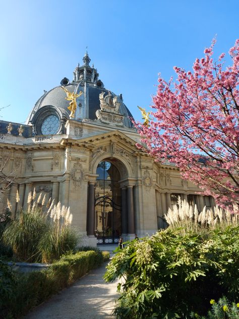 Petite Palais Paris, Paris Locations, Petit Palais Paris, Paris Monuments, Grand Palais Paris, Paris Bucket List, Paris Rooftops, Paris Landmarks, Paris Architecture