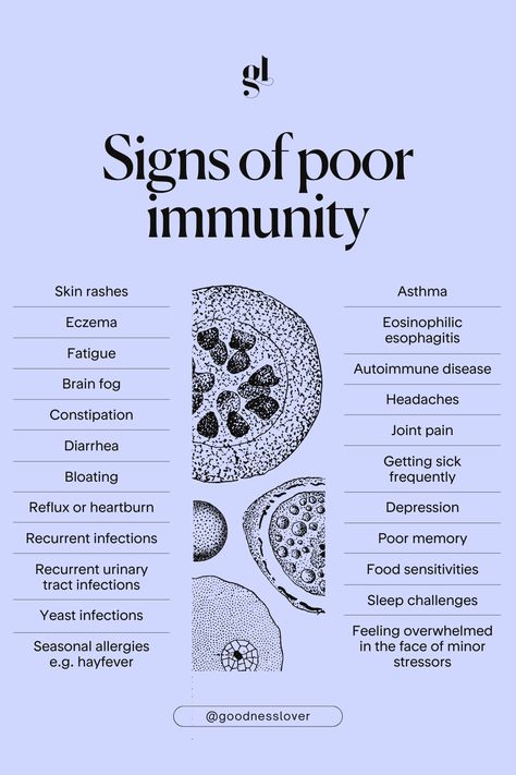 Did you know there are actually four different immune systems in the body?    - Microbiome in the GI tract - Kupffer cells in the liver - White blood cells found all over your body - Glia cells in the brain   As our immune system is so systemic, having a poorly functioning immune system affects various organ systems and can lead to body-wide symptoms.    If you’re showing a number of these symptoms, perhaps your immune system and your gut need some addressing.  #goodnesslover #immunesystem Natural Healing Remedies Immune System, Eoe Disease, Cell Salts, Medical Projects, How To Boost Your Immune System, Functional Health, Holistic Diet, Nutrition Science, Nutritional Therapy