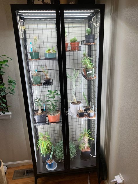 Ikea Milsbo Greenhouse, Ikea Milsbo Cabinet, Milsbo Greenhouse, Ikea Indoor Garden, Milsbo Cabinet, Ikea Glass Cabinet, Ikea Milsbo, Garden Cupboard, Ikea Decor Hacks