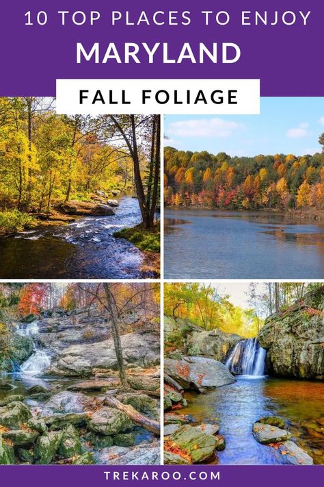 10 Top Places to Enjoy Fall Foliage in Maryland Deep Creek Lake Maryland, Patapsco Valley State Park, Fall Landscapes, Sugarloaf Mountain, Deep Creek Lake, Eastern Shore Maryland, Fall Vacations, Leaf Peeping, Eastern Shore