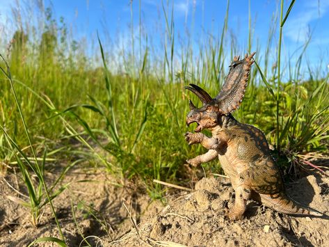 Dinosaur Toy Photography, Dinosaur Photography, Dino Toys, Toy Photography, Dinosaur Toys, Toys Photography, Dinosaurs, Toys, Photography