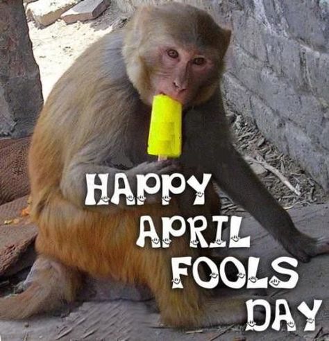 Happy April Fools Day Happy April Fools Day, Happy April, Day Pictures, Fools Day, 1 April, April Fools Day, April Fools, Humor, Tools