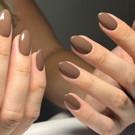 A mocha dream🤎🍂 @biosculpturegelgb @bio_sculpture_official (chocolate fudge) @officialnavyprofessional @saskia_andco @jomalonelondon | Instagram Office Nails, Brown Nails Design, Brown Nail, Plain Nails, Almond Acrylic, Nail Color Trends, Subtle Nails, Almond Acrylic Nails, Nail Colours