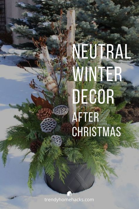 Winter Decor Ideas After Christmas, Winter Decor After Christmas, How To Decorate After Christmas, Decorations After Christmas, Winter Outdoor Decorations, Winter Porch Decorations, Outdoor Winter Decor, Winter Outdoor Decor, Neutral Winter Decor