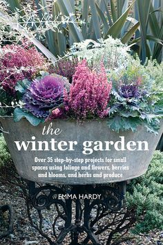 Winter Window Boxes, Garden Winter, Winter Crops, Planting Pots, Vertical Herb Garden, Winter Window, Container Gardening Flowers, Winter Flowers, Kew Gardens