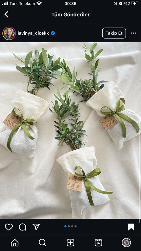 Rosemary Themed Party, Themed Party, Rosemary, Party Themes