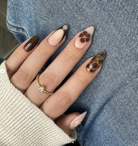 Fall Nail Sets Almond, Simple Almond Design, Coffin Shape Nails Fall, Nails Acrylic Designs Fall, Nail Ideas Fall 2024, Summer Nails Brown, Almond Nails Ideas Simple, Coffee Nails Designs, Cheetah Print French Tip Nails