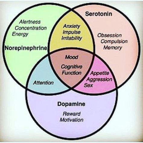 Mental Health Nursing, Brain Chemistry, Venn Diagram, Neurology, Pharmacology, Mental And Emotional Health, Health Info, Psychiatry, Brain Health