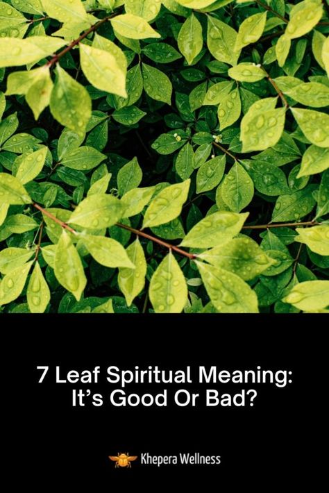 7 Leaf Spiritual Meaning: It’s Good Or Bad? - Khepera Wellness Bay Leaf Spiritual Meaning, Tea Leaf Meanings, Fern Spiritual Meaning, Cedar Spiritual Meaning, Leaves Meaning, Meaning In Life, Linden Leaf, Divine Timing, Dream Meanings