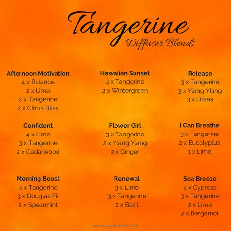 Scent Recipes, Oils For Energy, Doterra Diffuser Blends, Tangerine Essential Oil, Doterra Essential Oils Recipes, Essential Oil Diffuser Recipes, Oil Diffuser Recipes, Essential Oil Blends Recipes, Essential Oil Mixes