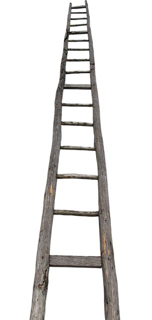 Free Image on Pixabay - Head, Wooden Ladder, Ladder Stairs Graphic, Rule Of 72, Old Ladder, Traditional Ira, Roth Ira, Jacob's Ladder, Wooden Ladder, Stairs Design, Free Pictures