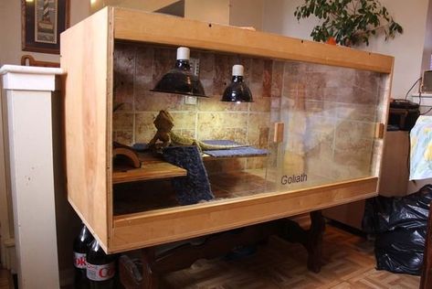 Bearded Dragon Enclosure Diy Bearded Dragon Cage, Bearded Dragon Lighting, Diy Bearded Dragon Enclosure, Lighting Temperature, Terrariums Diy, Bearded Dragon Diy, Bearded Dragon Terrarium, Bearded Dragon Enclosure, Bearded Dragon Cage