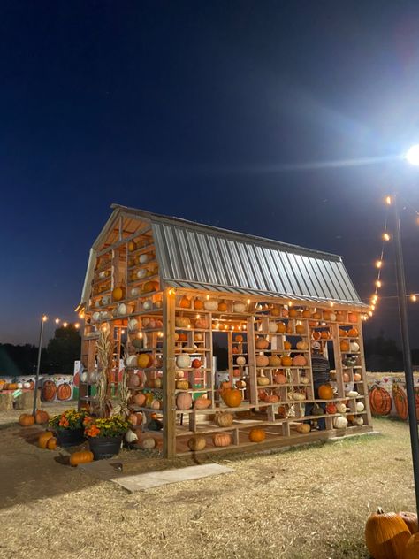 Pumpkin Patch Business, Pumpkin Patch Diy, Fall Festival Decorations, Pumpkin Patch Farm, Farm Room, Garden Center Displays, Fall Pumpkin Patch, Pumpkin Stands, Farm Day