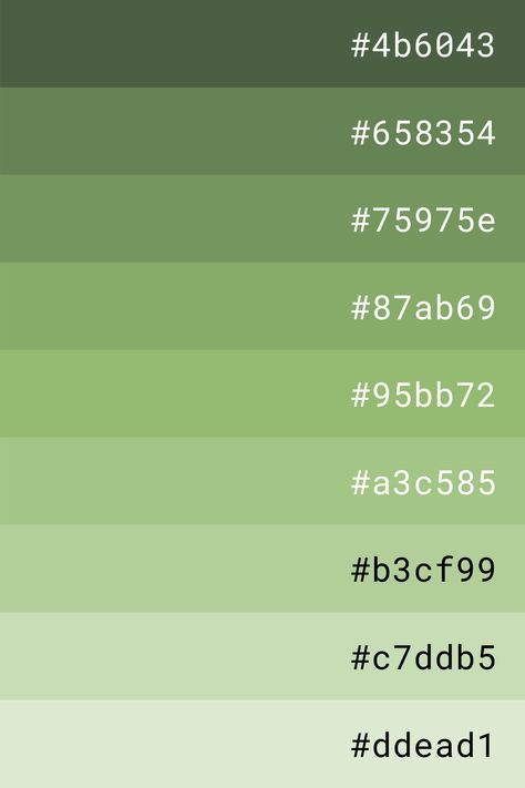 Green Color Palette, Desain Buklet, Hex Color Palette, Color Schemes Colour Palettes, Green Palette, Hex Color Codes, Pastel Colour Palette, Green Colour Palette, Color Palette Design