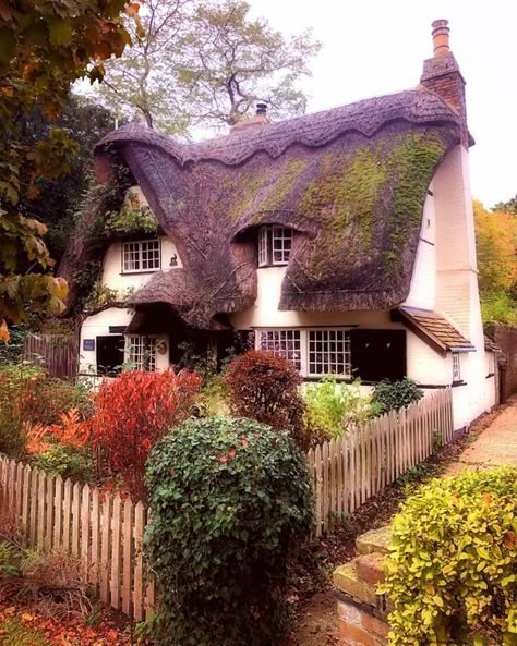 Cute Cottages, Fairytale House, Storybook Homes, Fairytale Cottage, Storybook Cottage, This Old House, Cottage In The Woods, Thatched Cottage, Beautiful Cottages