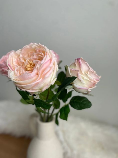 This Artificial Flowers item by FauxFloristryCanada has 62 favorites from Etsy shoppers. Ships from Canada. Listed on Sep 6, 2023 Diy Floral Wedding, David Austin Rose, Diy Bridal Bouquet, Austin Rose, Floral Wedding Decorations, Shipping Products, Cabbage Rose, Diy Bridal, Special Flowers