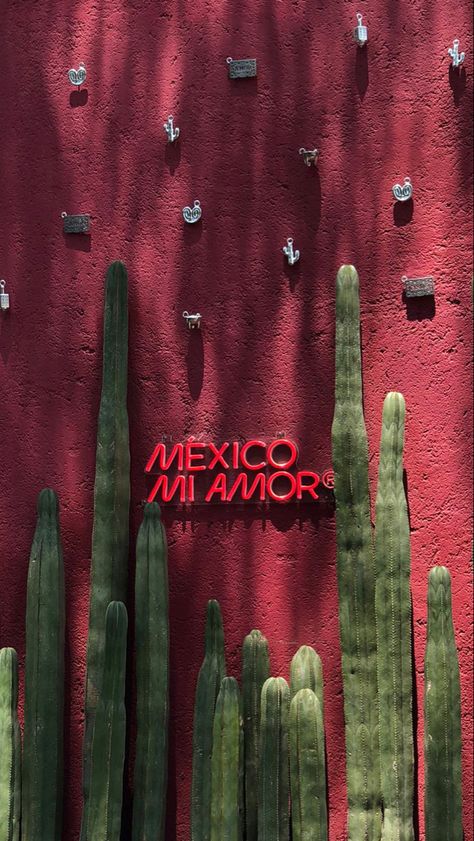 Red Mexico Aesthetic, Mexico Instagram Stories, Latina Vision Board, Mexico Aesthetic Vintage, Mexican Photography, Latino Aesthetic, Mexican Haciendas, Mexico Colors, Mexico Wallpaper