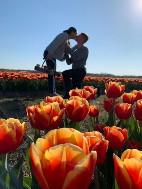 Engagement picture at a flower farm takenwith a regular phone from a low angle Try it yourself! #floral #proposal #engagement #proposalideas #love #engagementpics #loverboy #husband #fiance #tulips #tulipfarm #burnsidefarm Tulip Proposal, Field Proposal, Engagement Places, Floral Proposal, Flower Proposal, Spring Proposal, Tulips Field, Dream Proposal, Proposal Pictures