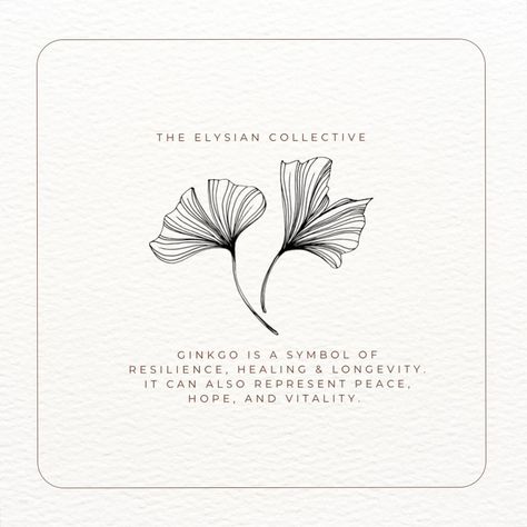 In the heart of The Elysian Collective, our emblem—the graceful gingko leaf—symbolising resilience, healing, and a journey through time. Like the ancient ginkgo, we strive for elegance in simplicity, embodying peace, hope, and vitality with every creation #gingko #adelaide #logo #south australia #brand Gingko Leaves, Star Wars Celebration, Hope Symbol, Ginkgo Leaf, Spiritual Meaning, South Australia, In The Heart, Art Ideas, Tokyo