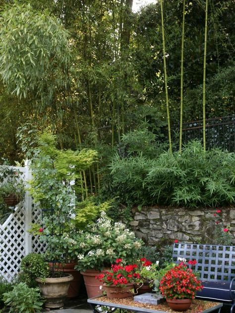 Rooms Viewer | HGTV Danielle Rollins, Container Gardening Ideas, Space Garden, Playing Golf, The Seventies, Garden Features, Garden Set, Gardening Ideas, Container Gardening