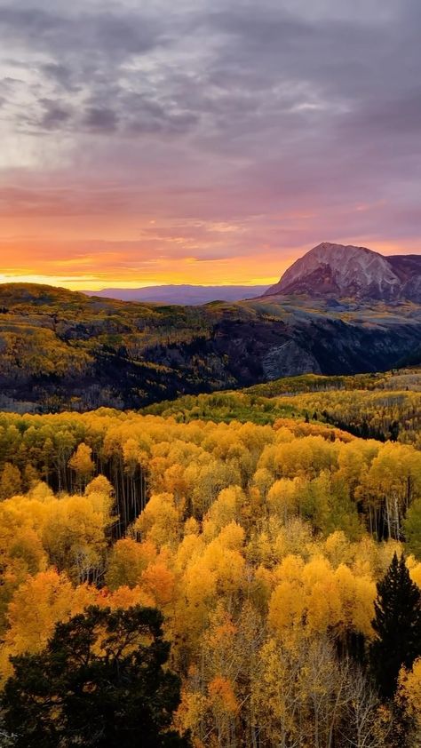 Sea of golden aspens in Colorado🥹 #aspens #colorfulcolorado #fallcolors #fallvibes #cinematography ema | Instagram Mountain Vibes, Aspen Trees, Painting Inspo, Ready For Fall, A Sea, Pretty Places, Washington State, Tag Someone, Beautiful Sunset