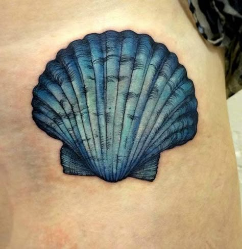 - Tattoo.com Florida Tattoo, Shell Tattoo, Seashell Tattoos, Shell Tattoos, Sea Tattoo, Ocean Tattoos, Hawaiian Tattoo, Inspiration Tattoos, Geniale Tattoos