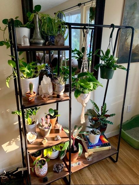 better way to use amazon clothes storage Ikea Plant Stands, Plant Storage Bedroom, Plant Stand Aesthetic, Plant Rack Ideas, Boho Plant Stand, Indoor Plant Shelf, Kaktus Dan Sukulen, Clothes Organizer, Geek Decor