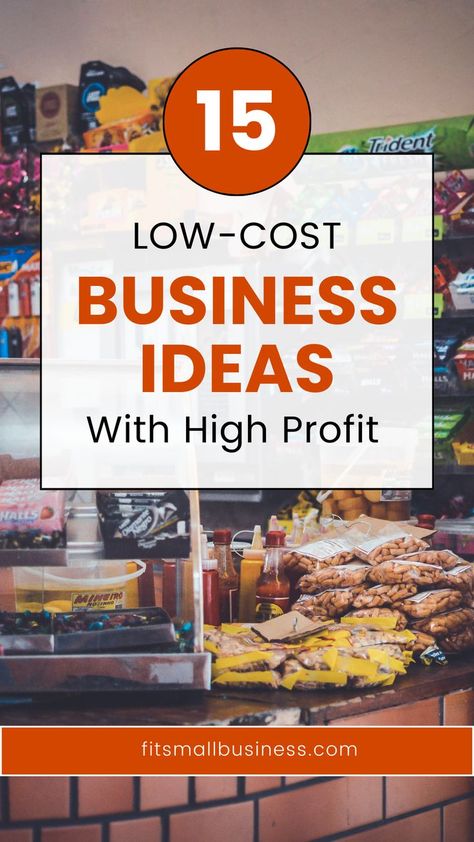 15 Low-cost Business Ideas With High Profit Low Budget Business Ideas, Low Cost Business Ideas, Lucrative Business Ideas, Small Business Ideas Startups, Profitable Small Business Ideas, Business Ideas For Women Startups, Low Cost Business, Own Business Ideas, Llc Business