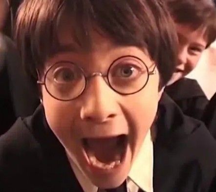 Harry Potter Curses, Phoenix Harry Potter, Harry Potter Groups, Harry Potter Ron And Hermione, Harry Potter Stickers, Harry Potter Ron Weasley, Funny Harry Potter Jokes, Harry Potter Memes Hilarious, Harry Potter Kids