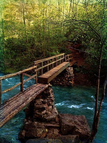 Laurel Falls Bridge - Tennessee :hearts: Mountain Bridge, Tennessee Road Trip, Mountains Tennessee, Watch Ads, Angel Falls, Laurel Falls, Smokey Mountain, Tennessee Travel, Tennessee Vacation