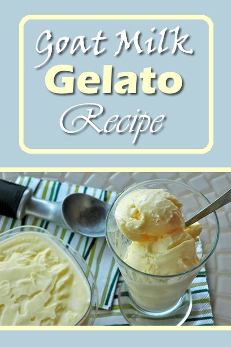 Goat Milk Custard, Goat Milk Whipped Cream, Goats Milk Ice Cream Recipe, Goat Milk Desserts, Goats Milk Recipes Food, Goat Cream Cheese, Goat Milk Recipes Food, Things To Make With Goat Milk, Goat Milk Ice Cream Recipe