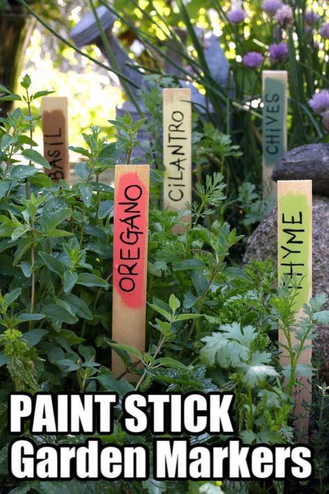 These quick and easy paint stick garden markers are perfect for marking herbs, plants and vegetables in your garden. Great homemade gift for Mother's Day, Father's Day, or for any gardener! #HappyHooligans #Garden #Markers #Plant #Herb #Vegetable #Homemade #Gift #MothersDay #FathersDay #Paint #Stick Garden Labels Diy, Plant Markers Diy, Stick Garden, Garden Markers Diy, Vegetable Garden Markers, Garden Plant Markers, Diy Marker, Herbs Plants, Herb Markers