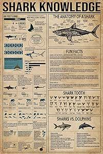 Shark Knowledge Funny Metal Tin Sign The Anatomy Of A Shark Retro Poster School Education Technology Museum Living Room Kitchen Bathroom Home Art Wall Decoration Plaque Gift Technology Museum, Poster School, Education Technology, School Education, Retro Poster, Metal Tin, Kitchen Bathroom, Room Kitchen, Living Room Kitchen