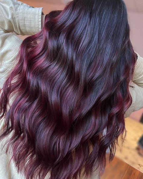 Sophisticated Hair Color, Dark Plum Hair Color, Plum Hair Color Ideas, Plum Brown Hair, Plum Highlights, Dark Plum Hair, Red Brown Highlights, Highlights For Black Hair, Plum Hair Color