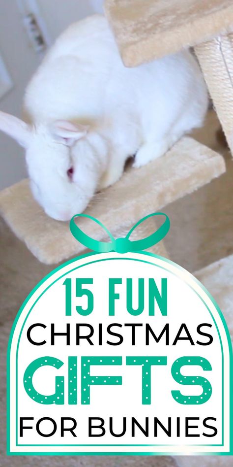 Looking for the perfect christmas gift for your pet rabbit? Use this list of cute and affordable rabbit toys to find one that your bunny will love! holiday gift ideas for pets | christmas gift ideas for pets | gifts for rabbits | fun toys for rabbits Diy Rabbit Toys, Toys For Rabbits, Diy Bunny Toys, Lop Bunnies, Holland Lop Bunnies, Pets Christmas, Bunny Room, Christmas Gifts For Pets, Rabbit Care