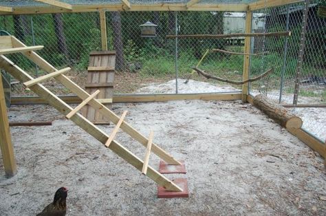 Chicken Playground, Chicken Coop Blueprints, Jungle Jim, Urban Chicken Farming, Easy Chicken Coop, Portable Chicken Coop, Chicken Pen, Urban Chickens, Chicken Cages