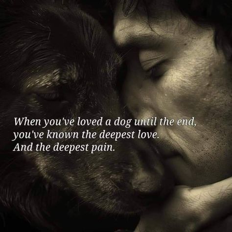 Rest In Peace Dog Quotes Pets, Memorials For Dogs, Dog Euthanasia Quotes, Griefing Your Dog Quotes, Pet Passing Quotes, My Dog Is My Best Friend, Missing My Dog In Heaven, Dog Grievance Quotes, Old Dog Quotes Love