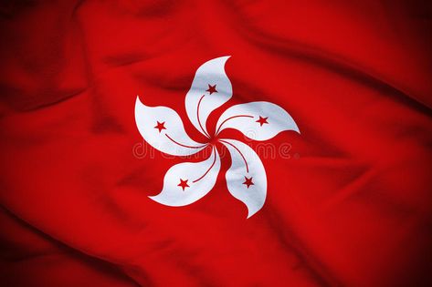 Hong Kong Flag. Wavy and rippled national flag of Hong Kong background #Sponsored , #ad, #Sponsored, #Kong, #Wavy, #flag, #Flag Hong Kong Flag, Wavy Flag, Army Vehicles, 3d Object, National Flag, Aesthetic Wallpapers, Hong Kong, Photo Image, Kindergarten