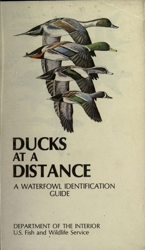 Ducks at a distance : a waterfowl identification guide : Hines, Bob : Free Download, Borrow, and Streaming : Internet Archive Duck Identification, Deer Hunting Stands, Waterfowl Art, Hunting Stands, Hunting Packs, Hunting Tattoos, Animal Taxidermy, Goose Hunting, Waterfowl Hunting