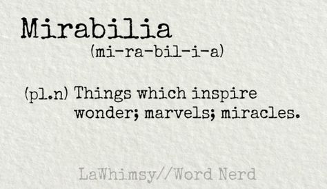 Mirabilia (pl.n) Things which inspire wonder; marvels; miracles...definition via Word Nerd by LaWhimsy Wonder Definition, Plural Noun, Words To Describe Someone, Dictionary Words, Unique Words Definitions, Uncommon Words, Fancy Words, One Word Quotes, Word Nerd