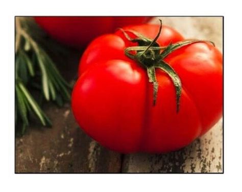 250 Beefsteak Tomato Seeds | Non-GMO | Fresh Garden Seeds Different Types Of Seeds, Types Of Tomatoes, Broccoli Seeds, Beefsteak Tomato, Cucumber Seeds, Rose Seeds, Vegetable Seeds, Tomato Seeds, Plant Spacing