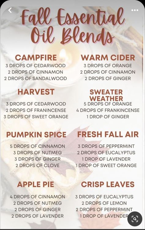 Fall Essential Oil Blends, Essential Oil Spray Recipes, Fall Smells, Candle Blends, Essential Oil Perfumes Recipes, Fall Essential Oils, Fall Diffuser Blends, Simmer Pot, Essential Oil Combinations