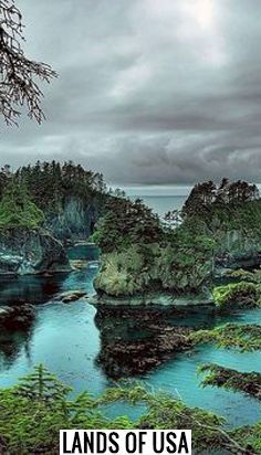 BEAUTIFUL QUIET NEIGHBORHOOD WITH VACANT LAND READY 4 YOU | LAND FOR SALE IN ARKANSAS Cape Flattery Washington, Cape Flattery, Washington Lakes, Dog Friendly Vacation, Washington State Travel, Vacant Land, Us National Parks, Travel Design, Land For Sale