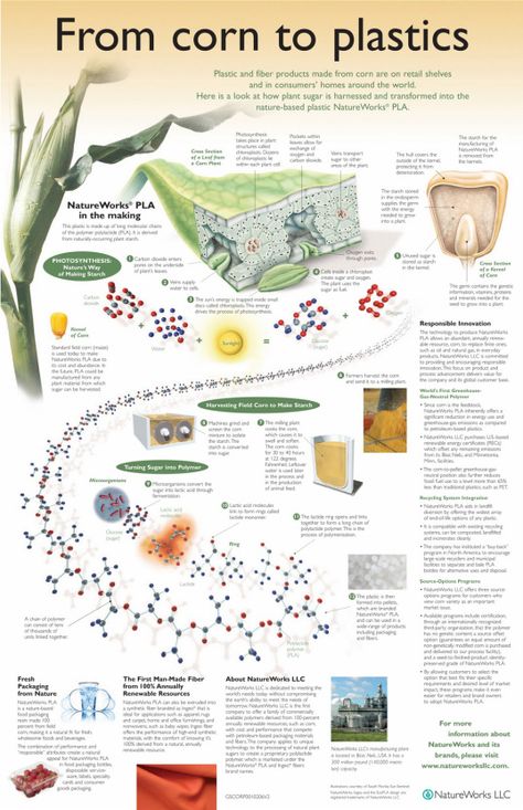 Environmental Science Activities, Scientific Poster, Craft Recipes, Environmentally Friendly Living, Research Poster, Process Engineering, Infographic Poster, Agriculture Education, Plant Cell