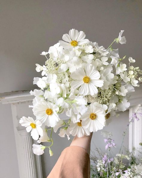 Cosmos In Bouquet, Small White Hydrangea Bouquet, Mountain Flower Bouquet, White Cosmos Bridal Bouquet, White Cosmos Flowers Wedding Bouquets, White Poppies Bouquet, Light Wedding Bouquet, Daisy And Sweet Pea Bouquet, White Cosmos Wedding Bouquet