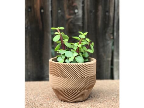 I prefer to think of this as "working smarter, not harder", but maybe I'm just lazy! I wanted a plant that didn't need a lot of care and I wanted to print a planter that didn't need any sanding or sealing to use. So naturally I decided to buy the "lazy person plant" (a succulent) and designed this planter where the original plastic pot just fit right into it! Of course, the plant may not grow as big as it could if I re-potted it, but that's fine by me. The standard size plastic pot that fits in 3d Printer Planter, 3d Print Planter, Printing Idea, 3d Printing Projects, Smarter Not Harder, Lazy People, Plastic Pots, File Free, Terracotta Pots