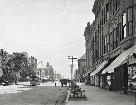 Cats Paw, Riverside California, Cat Paw Print, Vintage Los Angeles, Old Photographs, Historical Pictures, Paw Prints, Vintage Photographs, Vintage Photography