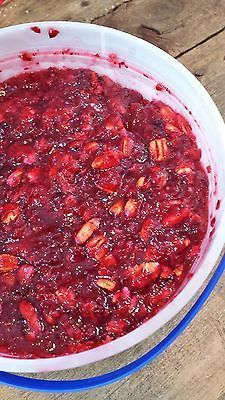 Bob Evans Cranberry Relish Recipe, Fresh Cranberry Salad, Holiday Dip, Cranberry Jello Salad, Cranberry Salad Recipes, Cranberry Orange Relish, Congealed Salad, Gelatin Salad, Cranberry Jello